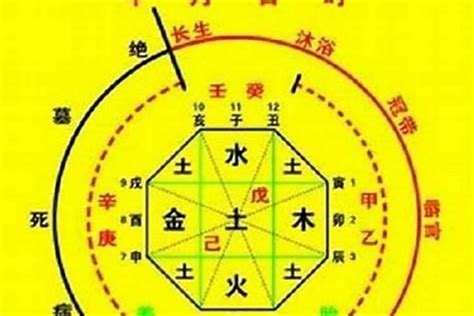 如何知道自己的五行属什么|生辰八字查詢，生辰八字五行查詢，五行屬性查詢